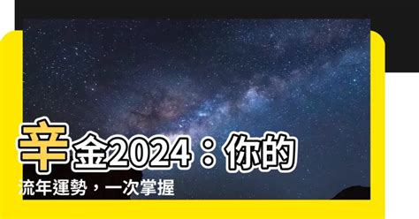 辛金 2024